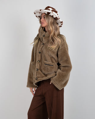 Bomber Teddy Brown