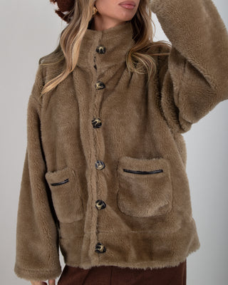 Bomber Teddy Brown